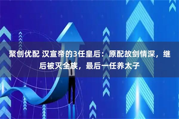 聚创优配 汉宣帝的3任皇后：原配故剑情深，继后被灭全族，最后一任养太子